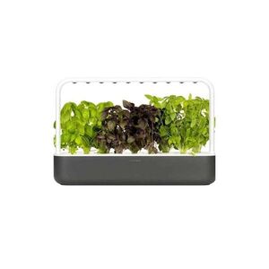 Click & Grow Chytrý květináč Smart Garden 9 šedá obraz