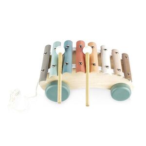 Zopa Dřevěný tahací xylofon, Xylophone obraz