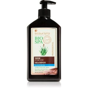 Sea of Spa Bio Spa šampon pro jemné a mastné vlasy 400 ml obraz