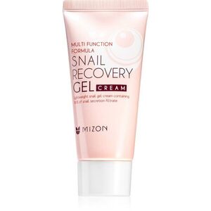 Mizon Multi Function Formula Snail pleťový gel s hlemýždím extraktem 45 ml obraz