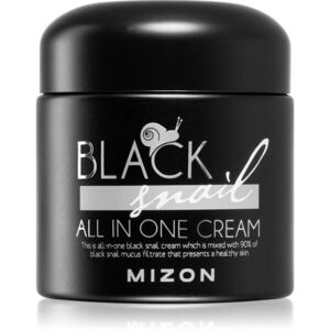 Mizon Black Snail All in One pleťový krém s filtrátem hlemýždího sekretu 90% 75 ml obraz