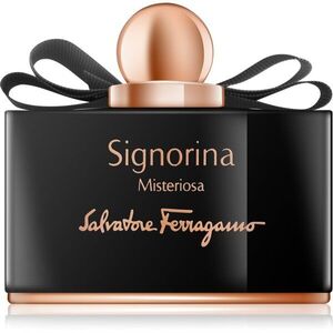Ferragamo Signorina Misteriosa parfémovaná voda pro ženy 100 ml obraz