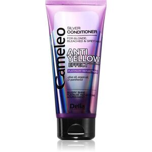Delia Cosmetics Cameleo Silver kondicionér pro blond a šedivé vlasy neutralizující žluté tóny 200 ml obraz