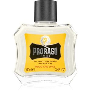 Proraso Wood and Spice balzám na vousy 100 ml obraz