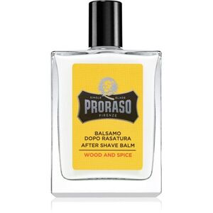 Proraso Wood and Spice hydratační balzám po holení 100 ml obraz