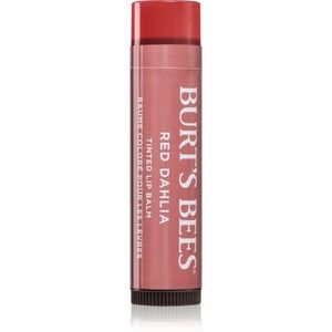 Burt’s Bees Tinted Lip Balm balzám na rty odstín Red Dahlia 4.25 g obraz