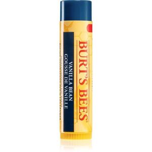 Burt’s Bees Lip Balm Vanilla Bean hydratační balzám na rty s vanilkou 4.25 g obraz