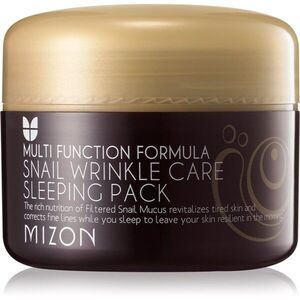 Mizon Multi Function Formula Snail regenerační pleťová maska se šnečím extraktem 80 ml obraz