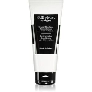 Hair Rituel by Sisley Restructuring Conditioner with Cotton proteins uhlazující kondicionér proti lámavosti vlasů s proteiny 200 ml obraz