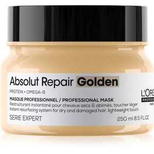 L’Oréal Professionnel Serie Expert Absolut Repair Golden regenerační maska pro suché a poškozené vlasy 250 ml obraz