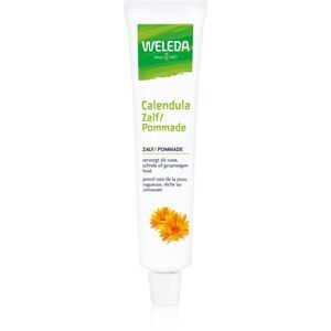 Weleda Měsíčková mast mast pro velmi suchou pokožku 25 g obraz
