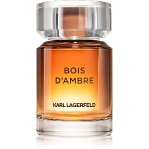 Karl Lagerfeld Bois d´Ambre toaletní voda pro muže 50 ml obraz