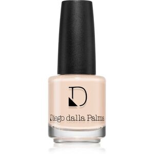 Diego dalla Palma Nail Polish dlouhotrvající lak na nehty odstín 204 Summer Rain 14 ml obraz