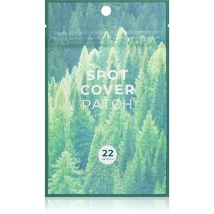 SKIN1004 Madagascar Centella Tea-Trica Spot Cover Patch náplasti na problematickou pleť proti akné 22 ks obraz