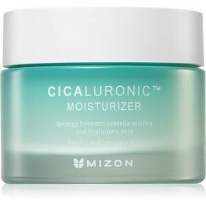 Mizon Cicaluronic™ vyživující hydratační krém pro velmi suchou a citlivou pleť 50 ml obraz