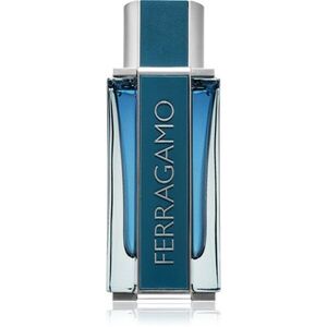 Ferragamo Ferragamo Intense Leather parfémovaná voda pro muže 100 ml obraz