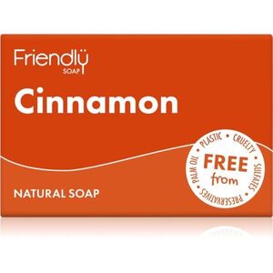 Friendly Soap Natural Soap Cinnamon přírodní mýdlo 95 g obraz