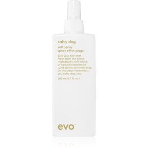 EVO Style Salty Dog slaný sprej na vlasy 200 ml obraz