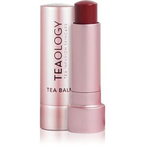 Teaology Tea Balm hydratační balzám na rty v tyčince s kyselinou hyaluronovou odstín Berry Tea 4 g obraz