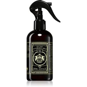 Dear Barber Sea Salt Spray stylingový sprej na vlasy 250 ml obraz