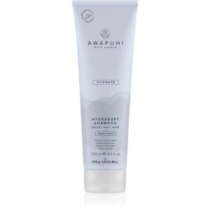 Paul Mitchell Awapuhi Wild Ginger HydraSoft Shampoo hydratační šampon 250 ml obraz