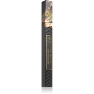 Ashleigh & Burwood London Nag Champa vonné tyčinky 30 ks obraz