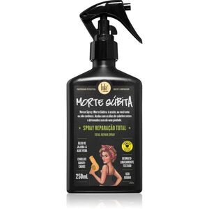 Lola Cosmetics Morte Súbita Spray Reparação Total sprej pro poškozené vlasy 250 ml obraz