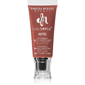 Danessa Myricks Beauty Colorfix Mattes multifunkční líčidlo pro oči, rty a tvář odstín Brownie 10 ml obraz
