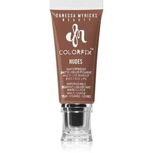 Danessa Myricks Beauty Colorfix Nudes multifunkční líčidlo pro oči, rty a tvář odstín Nude 12 10 ml obraz