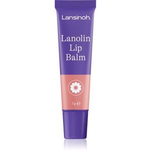 Lansinoh Lanolin Lip Balm lanolínový balzám na rty 7 g obraz