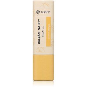 Lobey Skin Care Lip Balm balzám na rty příchuť Mango 5 g obraz