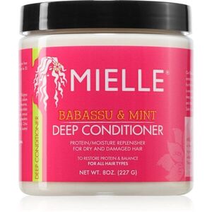 Mielle Babassu & Mint hydratační kondicionér 227 g obraz