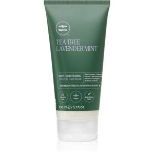 Paul Mitchell Tea Tree Lavender Mint hydratační maska pro suché vlasy 150 ml obraz