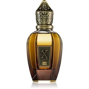 Xerjoff Aqua Regia parfém unisex 50 ml obraz