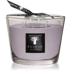 Baobab Collection All Seasons White Rhino vonná svíčka 500 g obraz