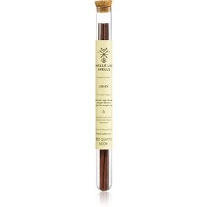 Smells Like Spells Norse Magic Odin vonné tyčinky (focus/self-confidence) 50 g obraz