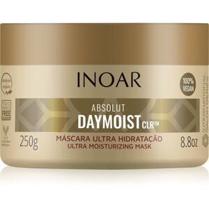 INOAR Absolut Daymoist CLR™ intenzivní hydratační maska pro suché a barvené vlasy 250 g obraz