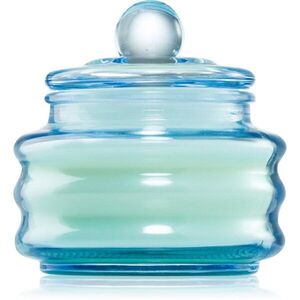 Paddywax Beam Fresh Air & Sea Salt vonná svíčka 85 g obraz