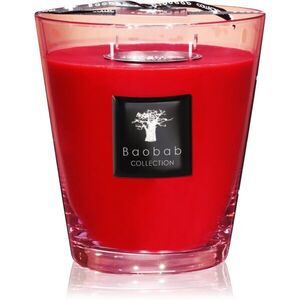 Baobab Collection All Seasons Masaai Spirit vonná svíčka 1000 g obraz