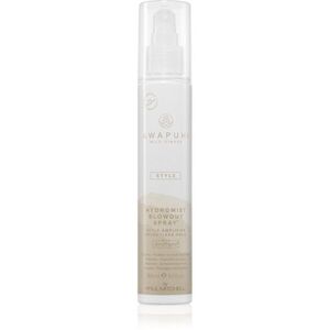 Paul Mitchell Awapuhi Wild Ginger HydroMist Blowout Spray fixační sprej pro dokonalý objem 150 ml obraz