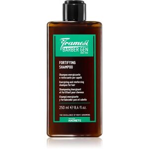 Framesi Barber Gen Fortifying posilující šampon pro slabé vlasy s tendencí vypadávat 250 ml obraz