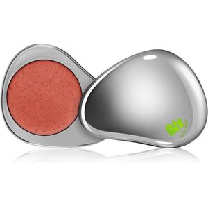 Glow Hub Glow Balm multifunkční balzám na rty a tváře odstín Brunch 2 g obraz
