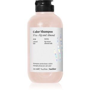 FarmaVita Backbar Color hydratační šampon pro ochranu barvy 250 ml obraz