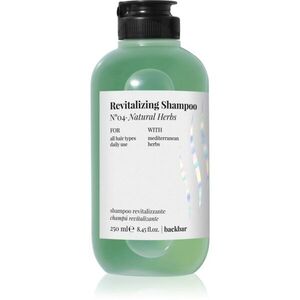 FarmaVita Backbar Revitalizing hydratační a revitalizační šampon 250 ml obraz