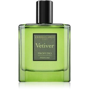 L'ERBOLARIO Vetiver parfémovaná voda pro muže 50 ml obraz