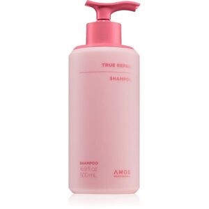 AMOS PROFESSIONAL True Repair Shampoo šampon pro uhlazení a obnovu poškozených vlasů 500 ml obraz