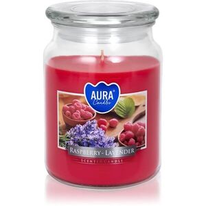 BISPOL Premium Line Raspberry -Lavender vonná svíčka 500 g obraz