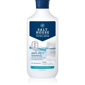 Salt House Dead Sea Therapy Anti-grease Shampoo šampon pro mastnou vlasovou pokožku 250 ml obraz