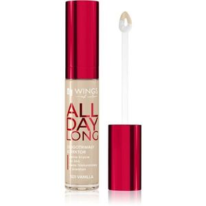AA Wings of Color All Day Long Long Lasting Concealer tekutý korektor odstín 501 Vanilla 6.2 g obraz