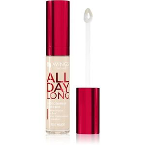 AA Wings of Color All Day Long Long Lasting Concealer tekutý korektor odstín 500 Ivory 6.2 g obraz